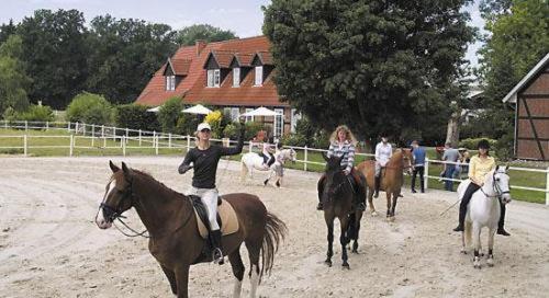 Heidehotel Gut Landliebe Hermannsburg Luaran gambar